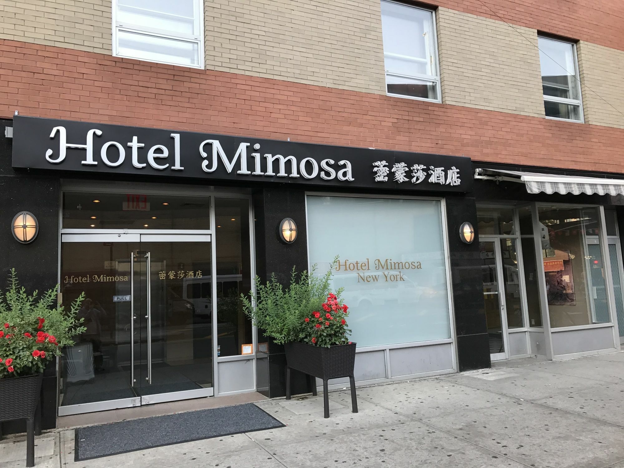 Hotel Mimosa Нью-Йорк Екстер'єр фото